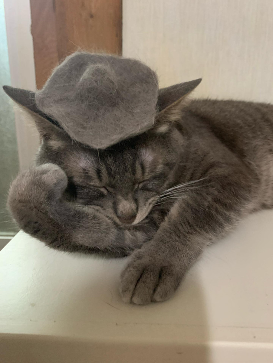 ロンちゃん ロンちゃん