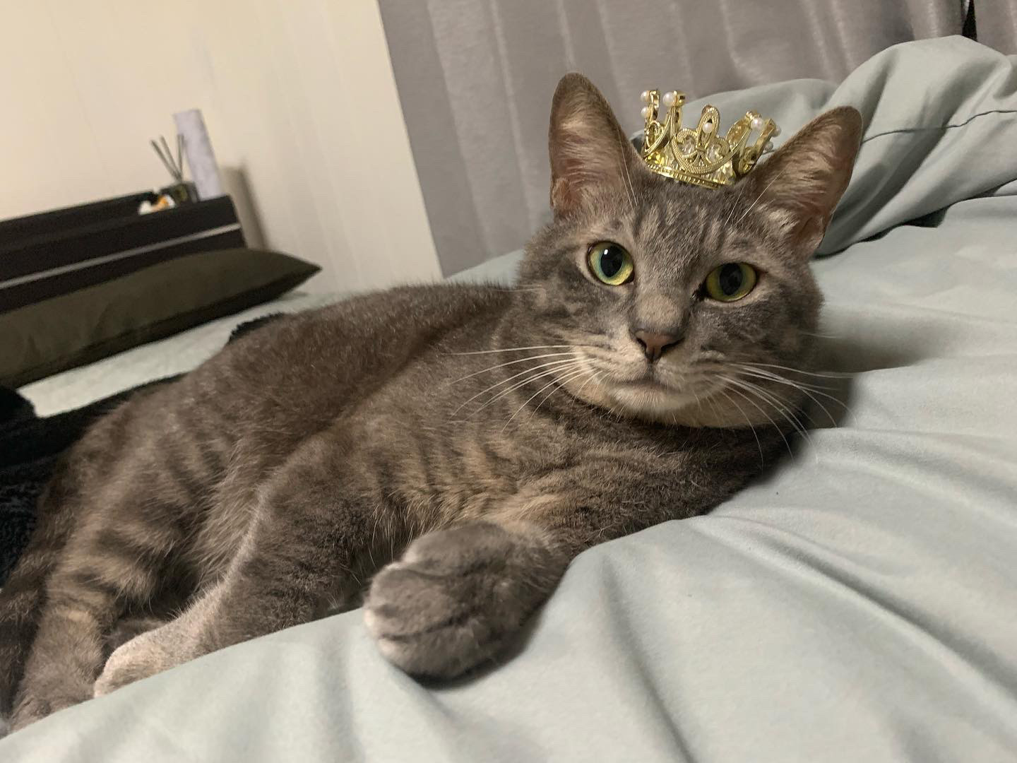 ロンちゃん ロンちゃん