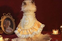 フレイヤ ゴージャス イエローマント - 1