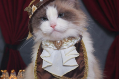 プリンス ブラウンハット - 2