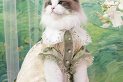 フランスロココ調フリージア ドレス - 1