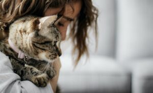 飼い主に顔をすり寄せて甘える猫