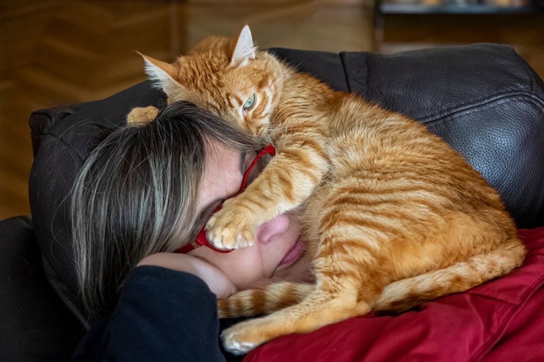 飼い主のそばでくつろぐ猫